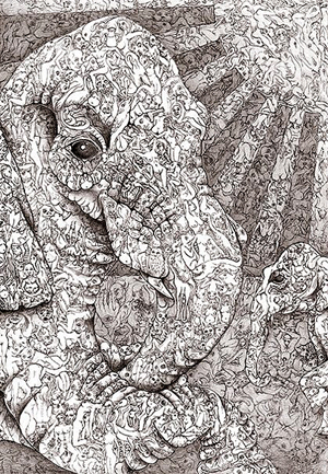 elephantuniverse